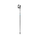 Leki QNTM Ski Poles