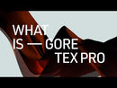 Arc'Teryx Men's Beta AR Pant