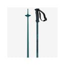 2021 Salomon Arctic Pole