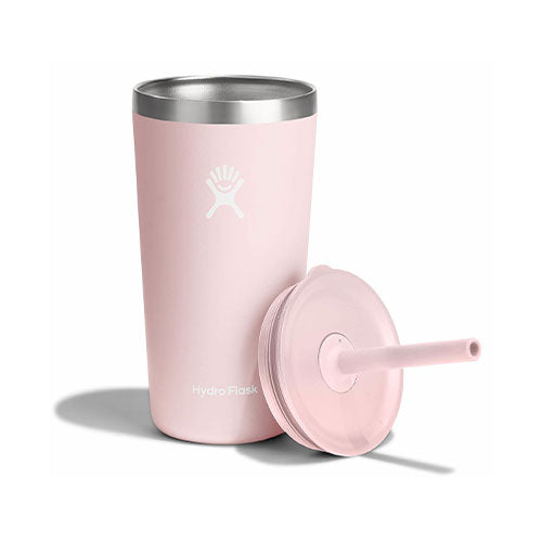 Hydro Flask 20oz All Around Tumbler With Straw Lid