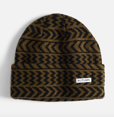 Autumn Chevron Toque