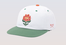 Dark Seas Memorial Cap