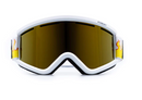 Ashbury Blackbird Goggles