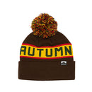 Autumn Burnout Pom Beanie