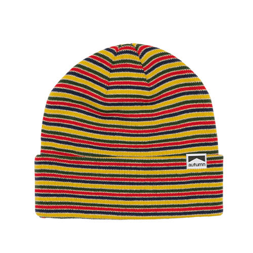 Autumn Mix Stripe Beanie