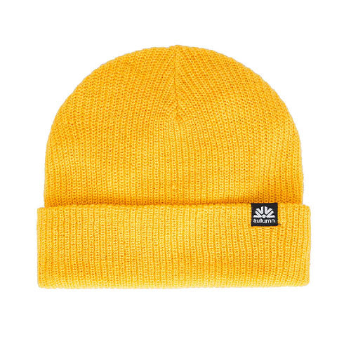 Autumn Simple Beanie