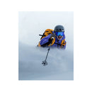 Backcountry Access Scepter Adjustable Carbon Poles