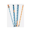 Backcountry Access Tracker S Rescue Package