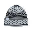 Coal The Weston Knit Beanie