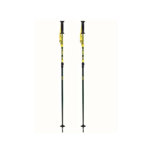 Line Get Up Ski Poles