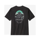 Patagonia Men's Chouinard Crest Pocket Tee