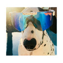 Pit Viper Absolute Freedom Polarized Double Wide