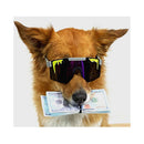 Pit Viper The Lightspeed Polarized