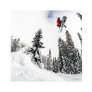 2022 Lib Tech Skate Banana