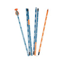 Backcountry Access Stealth 270