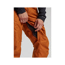 Burton Cargo Pant, Short