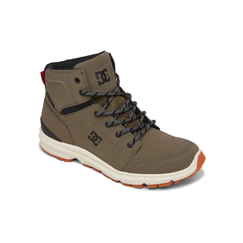 DC Men's Torstein Boot
