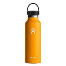 HydroFlask 21oz Standard Mouth Flex Cap