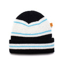 Howl Stripe Beanie