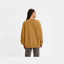 Levis Graphic Prism Varsity Crew