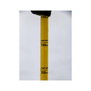 Line Vision Ski Poles