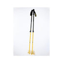 Line Vision Ski Poles
