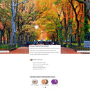 Oakley Frogskins Lite Sunglasses