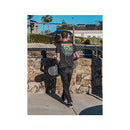 Volcom Sk8 Vitals Provoster Tee