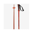 2021 Salomon Arctic Pole