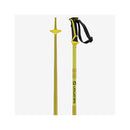 2021 Salomon Arctic Pole