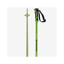 2021 Salomon Arctic Pole