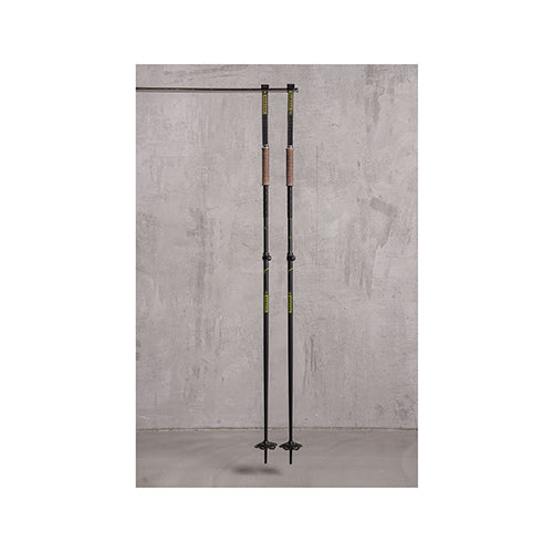 Armada AK Adjustable Ski Pole