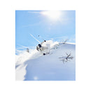 2021 Black Crows Anima