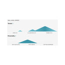 2021 Burton Men's Fish 3D Directional Snowboard