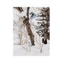 2021 Burton Family Tree Hometown Snowboard