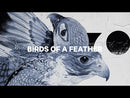 2023 Capita Birds Of A Feather Snowboard