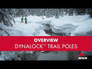 MSR DynaLock Trail Backcountry Poles