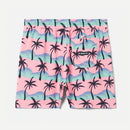 Hurley Cannonball Volley Boardshorts 17"