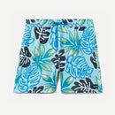 Hurley Cannonball Volley Boardshorts 17"