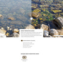 Oakley Split Time Sunglasses