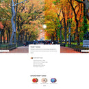 Oakley Feedback Sunglasses