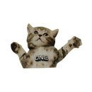 Oneball Traction Stomp Pad