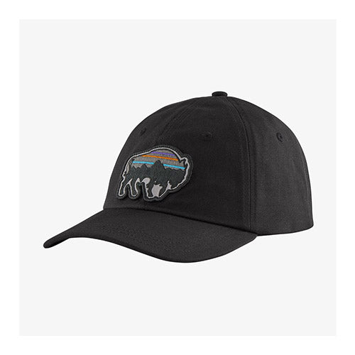 Patagonia Back for Good Trad Cap