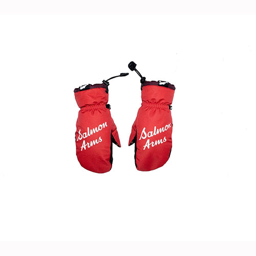 SALMON ARMS TEAM MITT NORTONS Sサイズ Nortons