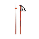 Salomon Arctic Poles