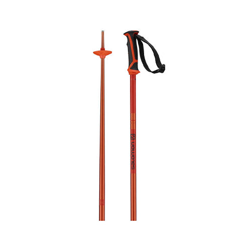 Salomon Arctic Poles