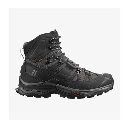 Salomon Men's Quest 4 GTX