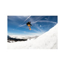 2021 Lib Tech Skunk Ape